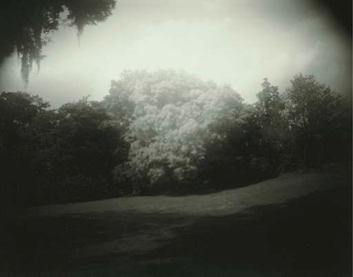 SALLY MANN (b. 1951)