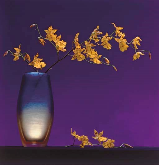 ROBERT MAPPLETHORPE (1946-1989)