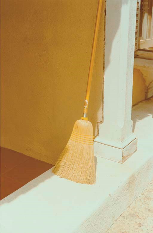 WILLIAM EGGLESTON (b. 1939)