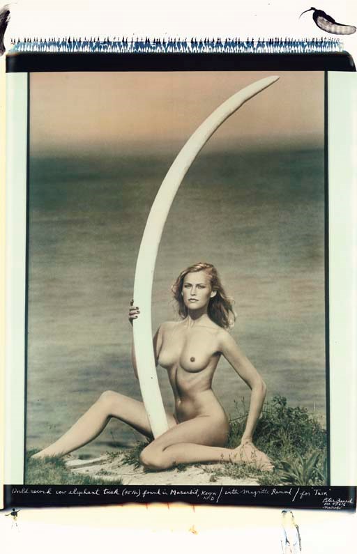 PETER BEARD