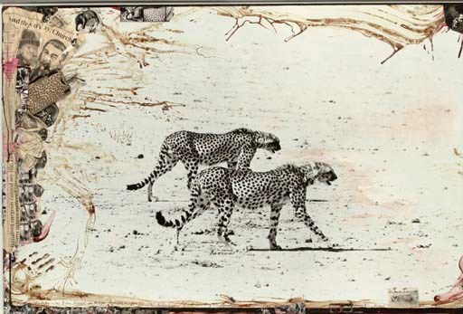 PETER BEARD