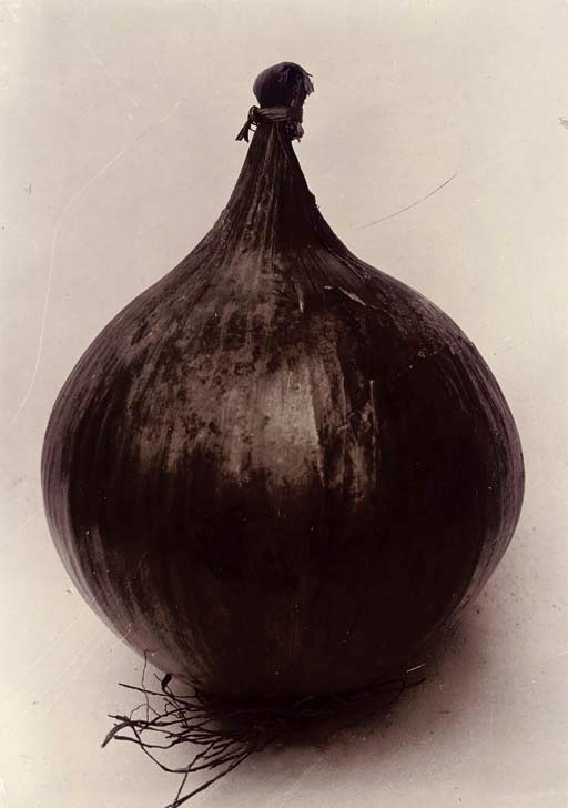 CHARLES JONES (1866-1959)