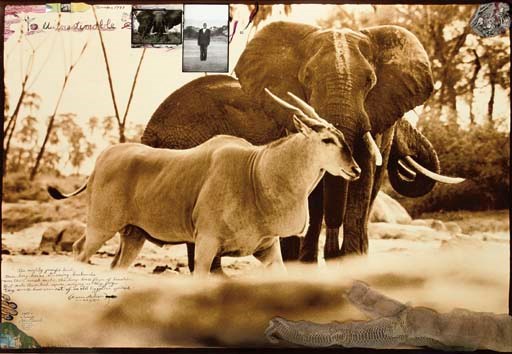 PETER BEARD