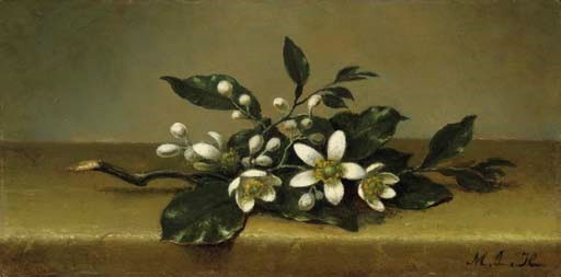 Martin Johnson Heade (1819-1904)
