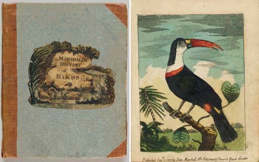 MARSHALL, John, publisher. Marshall's History of Birds. London: Printed and Sold by John Marshall, No. 4 Aldermary ChurchYard, Bow Lane Cheapside, 1803.