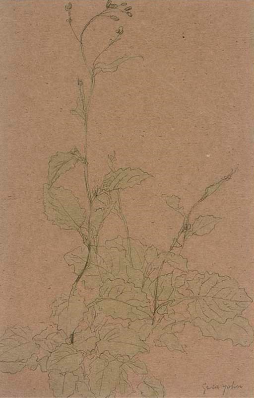 Gwen John (1876-1939)