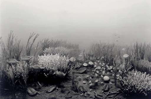 Hiroshi Sugimoto (b. 1948)