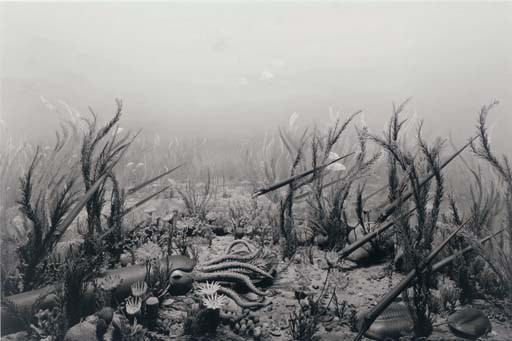 Hiroshi Sugimoto (b. 1948)