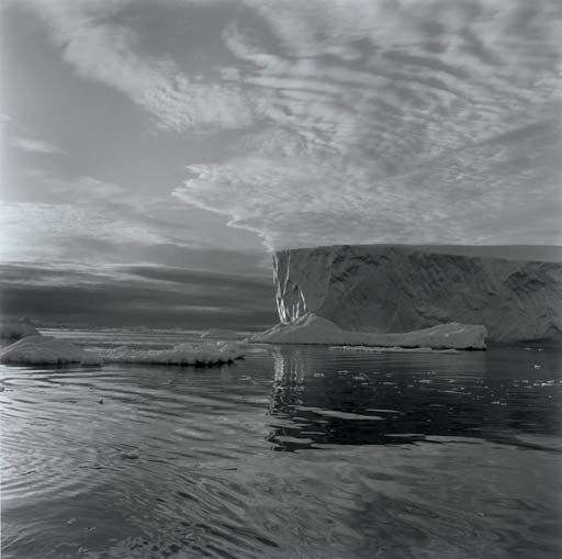 Lynn Davis (b. 1944)
