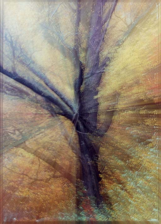 Piotr Uklanski (b. 1969)