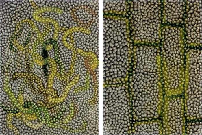 Ross Bleckner (b. 1949)