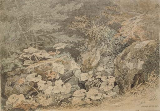 John White Abbott (1763-1851)