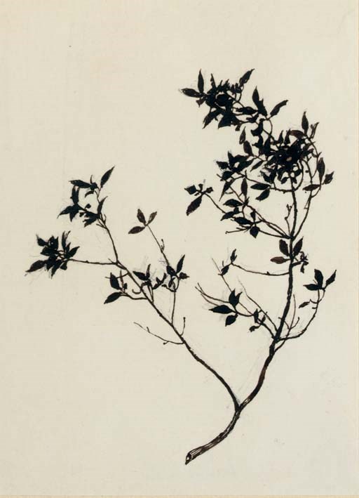 John Ruskin, H.R.W.S. (1819-1900)