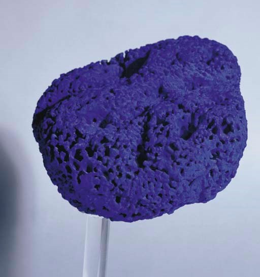 Yves Klein (1928-1962)