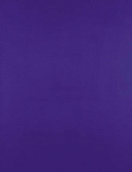 Yves Klein (1928-1962)