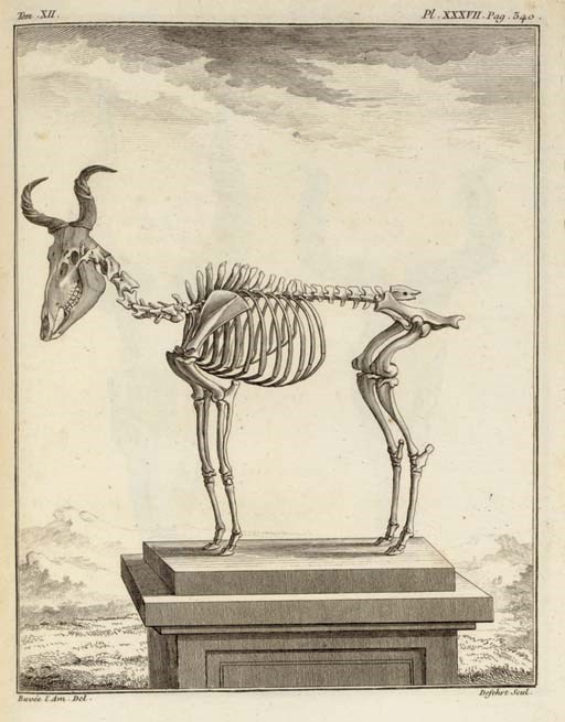 BUFFON, Georges-Louis-Marie Le Clerc, comte de (1707-1788). Histoire naturelle générale et particulière. Paris: Imprimerie Royale, 1749-1777.