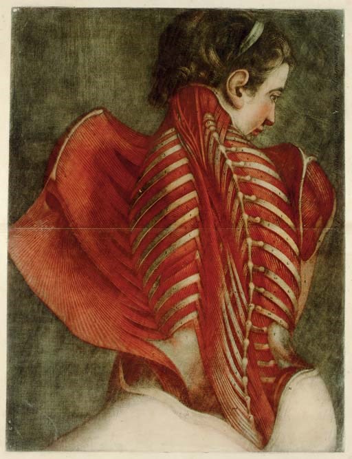 GAUTIER D'AGOTY, Jacques (1717-1786) and Joseph Guichard DUVERNEY. Essai d'Anatomie, en Tableaux imprimés, qui represent au naturel tous les muscles de la face, du col, de la tête, de la langue & du larinx... -- Myologie complette en couleur et grandeur naturelle, compose de l'essai et de la suite de l'essai d'anatomie, en tableaux imprimes. Paris: Gautier [vol. I]; Gautier, Quillau pre et fils, and Lamesle [vol. II], 1745-46-[48].