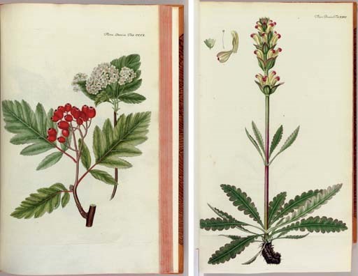 OEDER, Georg Christian (1728-1791) [vols. I-III], Otto Frederik MÜLLER (1730-1784) [vols. IV-V], Martin VAHL (1749-1804) [vols. VI] (editors). [FLORA DANICA]. Icones plantarum spone nascentium in regnis Daniae et Norvegiae... Florae Danicae nomine inscriptium. Copenhagen: Nicolai Möller, 1764-1792.