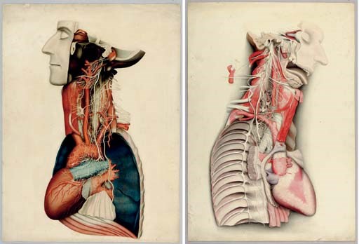[SWAN, Joseph]. WEST, Edward. Original watercolors for: SWAN, Joseph (1791-1874). A Demonstration of the Nerves of the Human Body. London: Longman, 1834. 37 original watercolors for 23 plates (of 25, lacks illustrations for plates 16 and 22). This group includes all 17 original watercolors (each approximately 540 x 415 mm) for plates with 1-3 large subjects and 20 original watercolors for plates with two or more subjects (each approximately 255 x 200 mm and 165 x 120 mm), and a set of 25 loose engraved plates for the 1834 quarto edition, all housed in two large cloth folding cases. Provenance: Irwin J. Pincus M.D. (his sale, Christie's New York, 6 December 2004, lot 280).