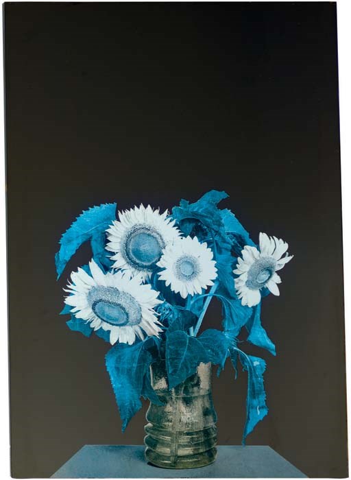 Michelangelo Pistoletto (B. 1933)