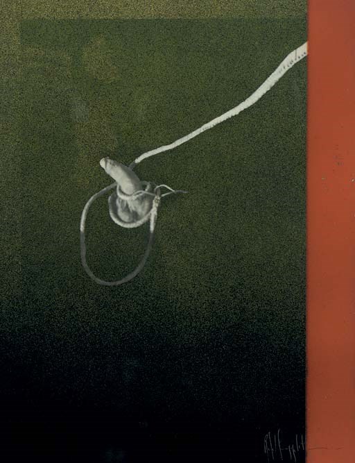 Robert Mapplethorpe (1946-1989)