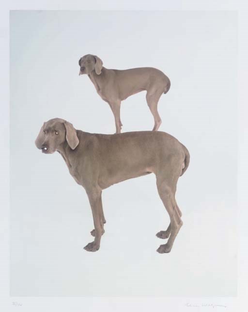 William Wegman (b. 1943)