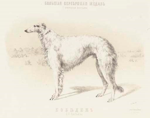 Martinova, Russian circa, 1870