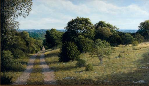 Nanette Davis (American, 20th Century)