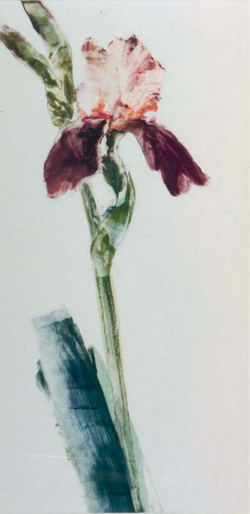 Forrest K. Moses (1893-1974)