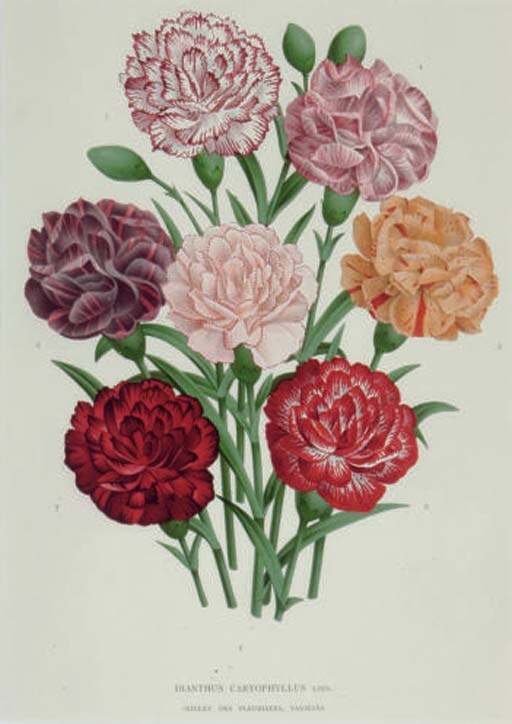 After P. de Pannemaeker (Active 19th Century)