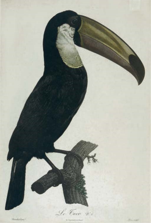 After Jacques Barraband (1767-1809) and others