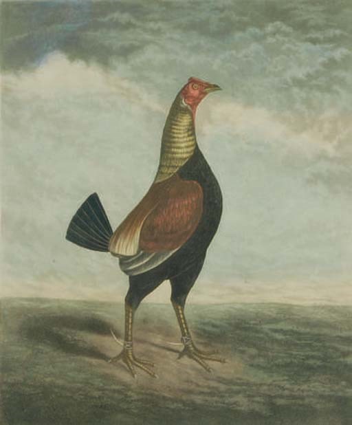 C. Turner (19th Century) and After B. Marshall (19th Century)