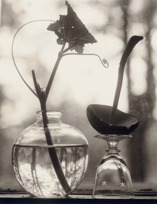 Victor Schrager (b. 1950)