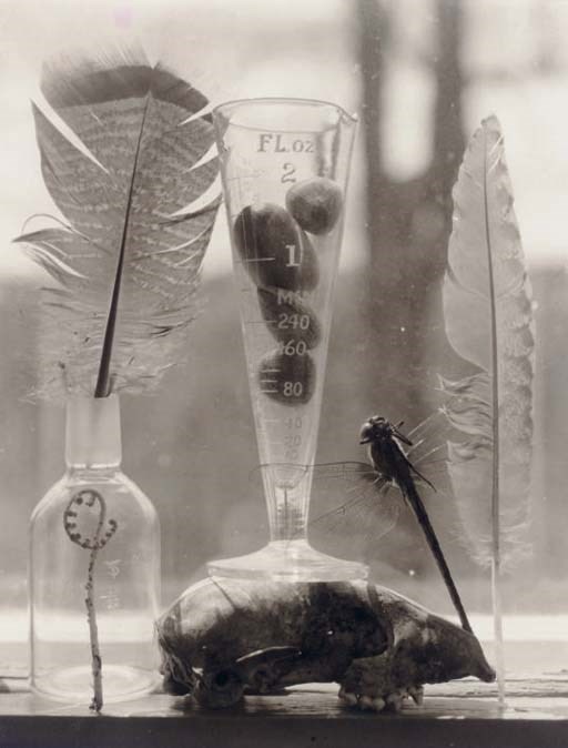 Victor Schrager (b. 1950)