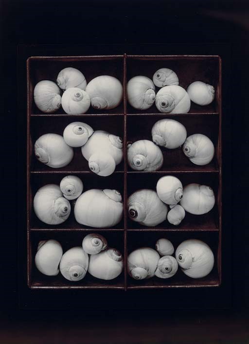 Olivia Parker (b. 1941)