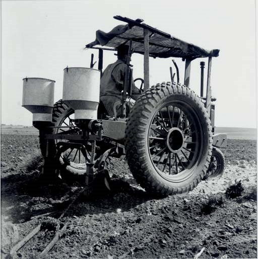 DOROTHEA LANGE (1895-1965)