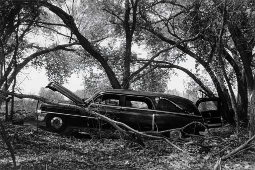Larry Clark (b. 1943)