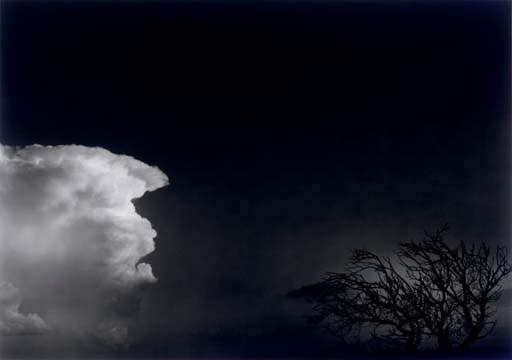 Paul Caponigro (b. 1932)