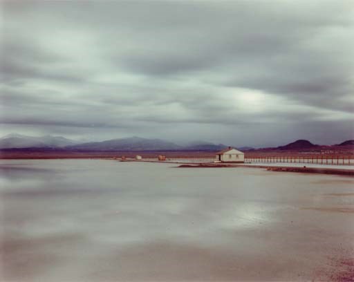 Richard Misrach (b. 1949)