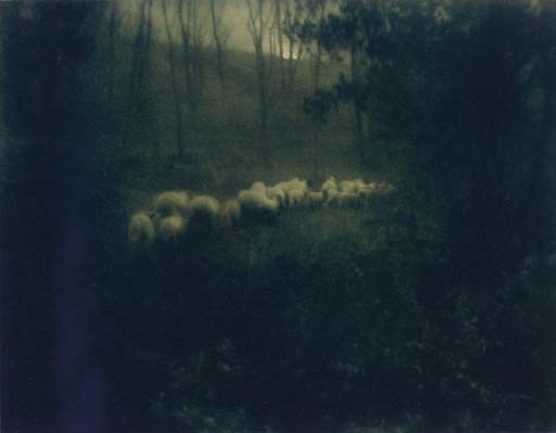 EDUARD STEICHEN (1879-1973)