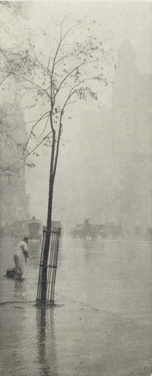 ALFRED STIEGLITZ (1864-1946)