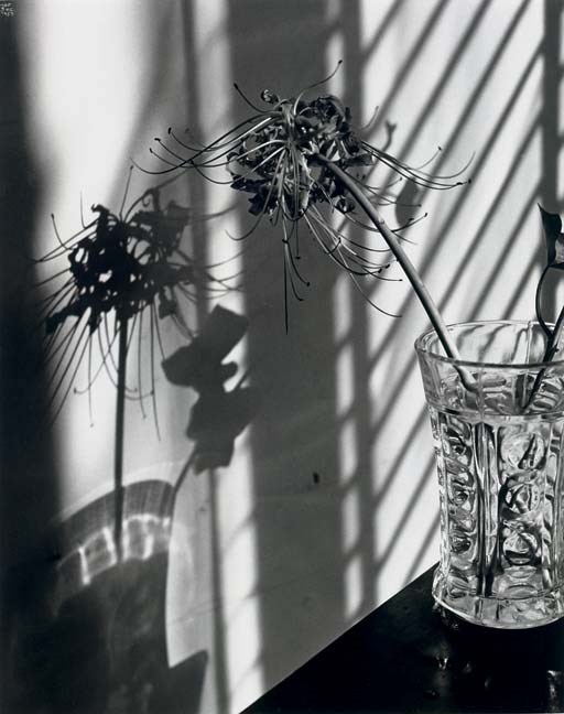 ILSE BING (1899-1998)