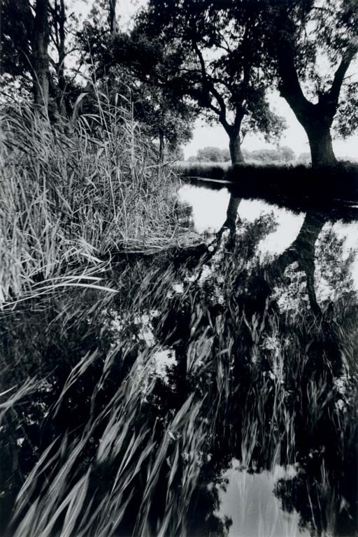 JEANLOUP SIEFF (1933-2000)