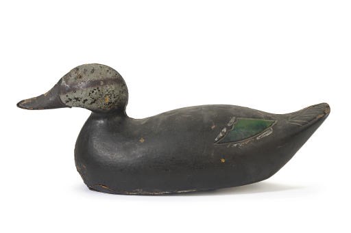 A PREMIER GRADE BLACK DUCK DECOY