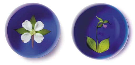 TWO PAUL STANKARD COLOR GROUND WEIGHTS, FROM 'THE AMERICAN FLORAL SERIES'