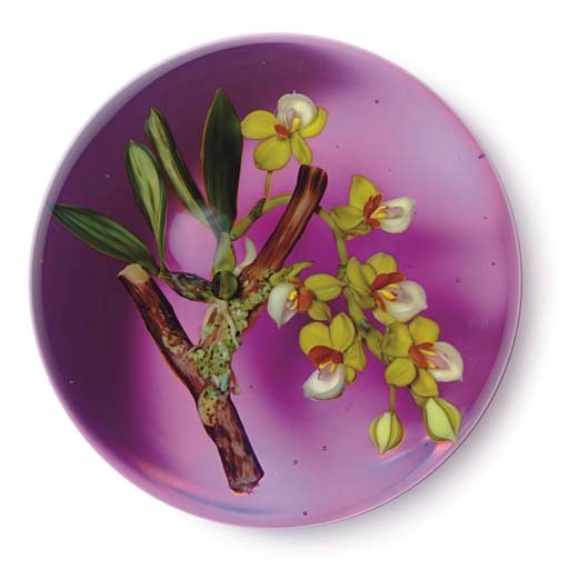 A PAUL STANKARD COLOR GROUND ORCHID ON BRANCH WEIGHT