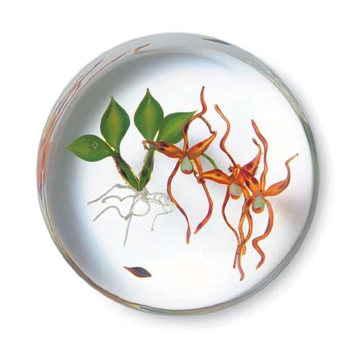 A PAUL STANKARD SPIDER ORCHID WEIGHT