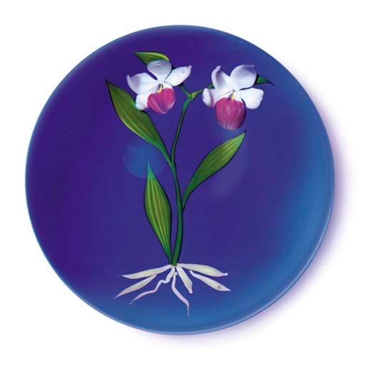 A PAUL STANKARD COLOR GROUND SHOWY LADY SLIPPER WEIGHT
