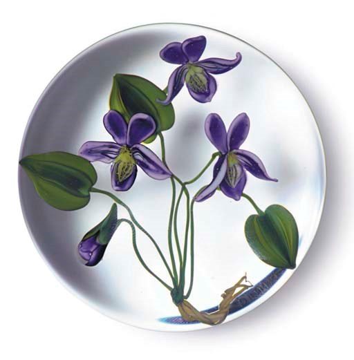 A PAUL STANKARD VIOLETS WEIGHT