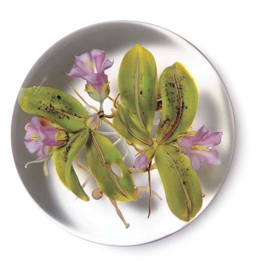 A PAUL STANKARD TRAILING ARBUTUS AND 'EARTH SPIRIT' WEIGHT